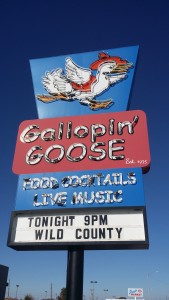 gallopin goose neons ign